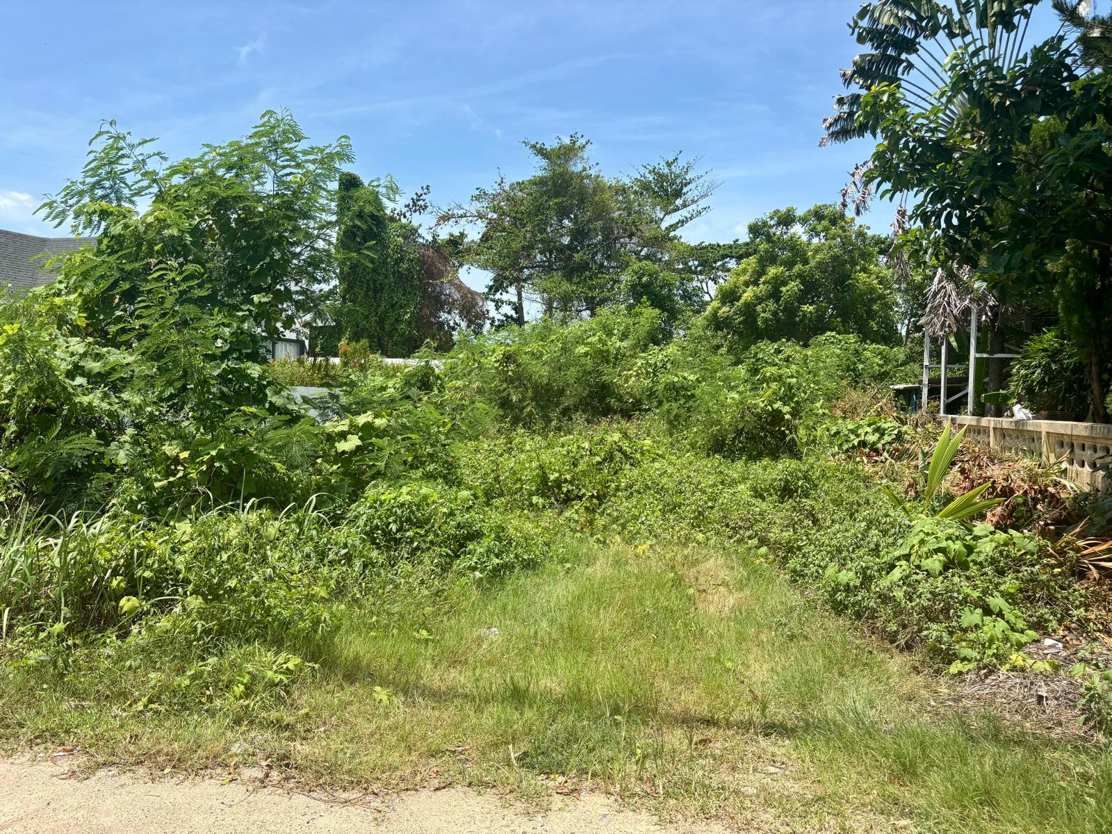 KO SAMUI A HUA THANON TERRAIN PLAT DE 487 M2. IMMOCENTER ASIA THAILAND REAL ESTATE AGENCY KO SAMUI