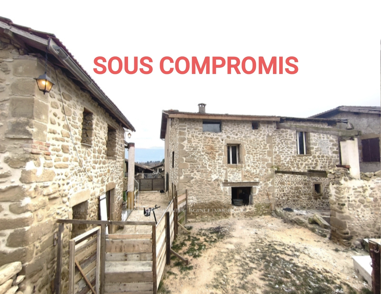 Ensemble immobilier- 2 maisons- Charme de la pierre. IMMOCENTER BOURG DE PEAGE